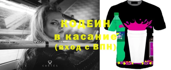 шишки Аркадак