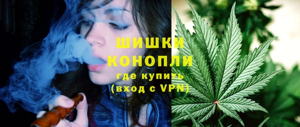 стафф Горняк