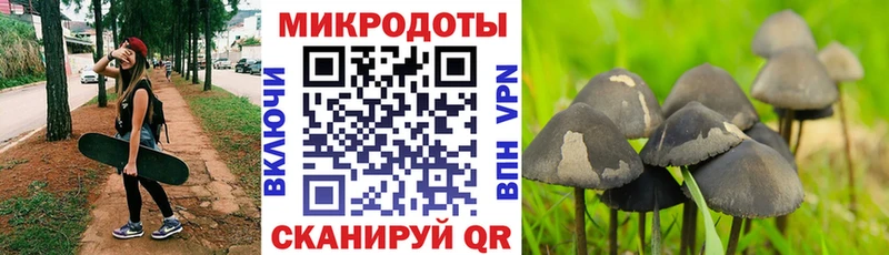 где купить Советский Галлюциногенные грибы ЛСД